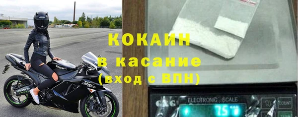 индика Алзамай