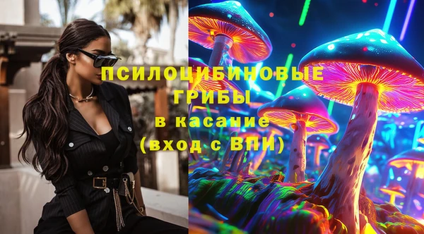 хмурый Алексеевка