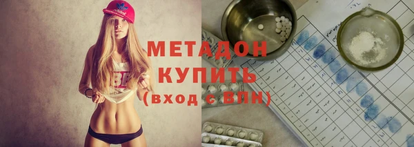 индика Алзамай
