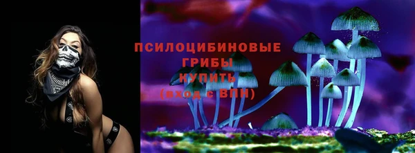 хмурый Алексеевка