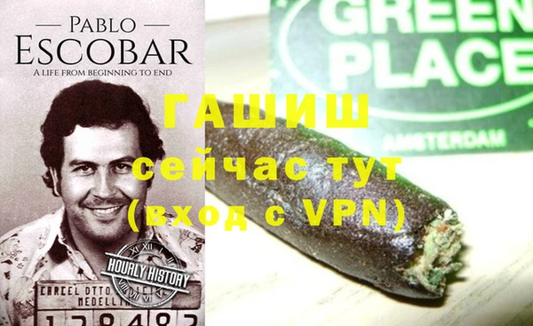 индика Алзамай
