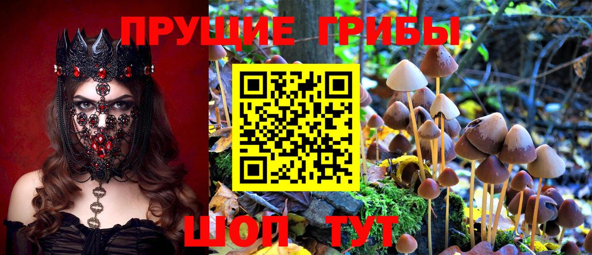 Галлюциногенные грибы прущие грибы  Вход с VPN  Лениногорск 