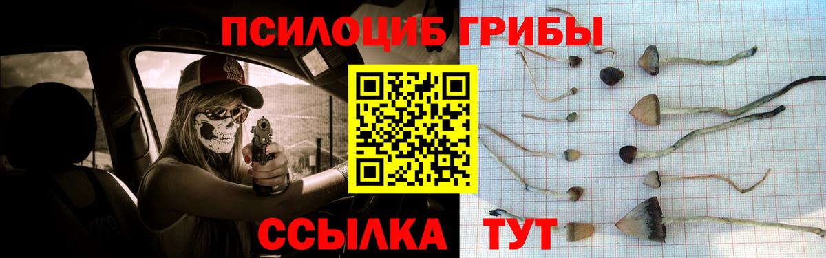 Псилоцибиновые грибы прущие грибы Лениногорск